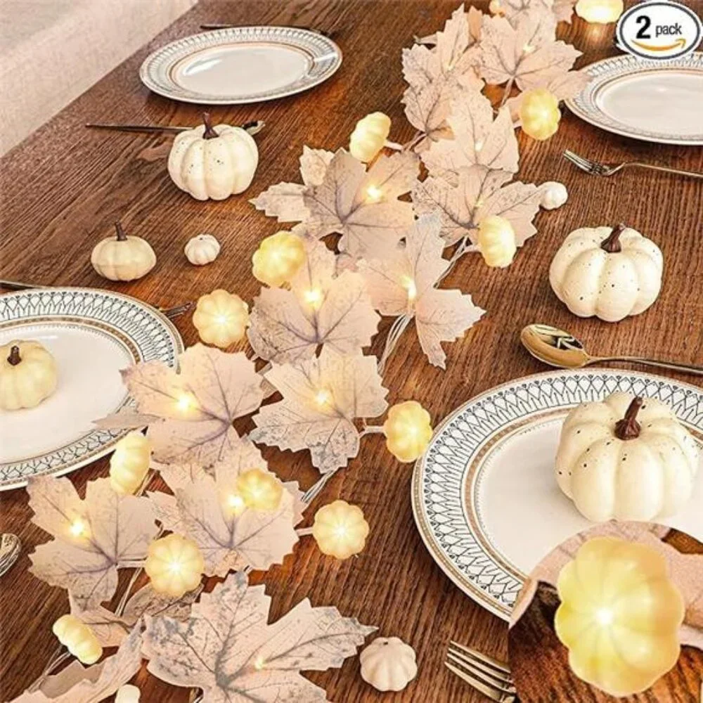 Pumpkin Lights & 60 LED, 2 Pack Fall Garland Fall Decor, Total 20Ft